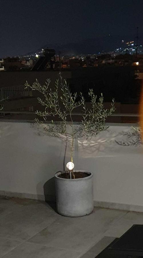 My Home In Greece Афіни Екстер'єр фото